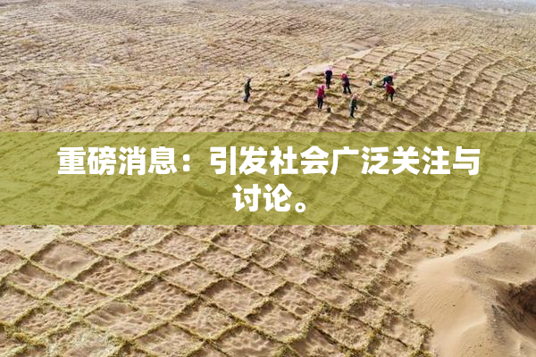 重磅消息：引发社会广泛关注与讨论。