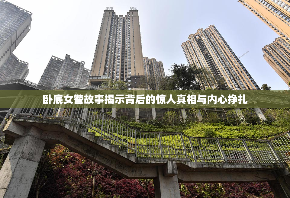 卧底女警故事揭示背后的惊人真相与内心挣扎