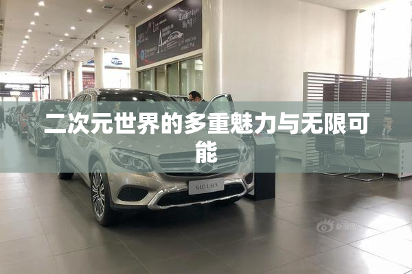 二次元世界的多重魅力与无限可能