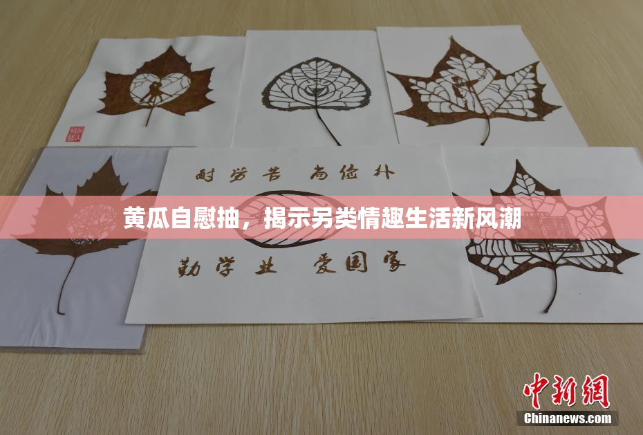 黄瓜自慰抽，揭示另类情趣生活新风潮