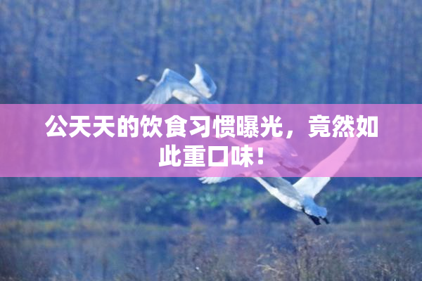 公天天的饮食习惯曝光，竟然如此重口味！