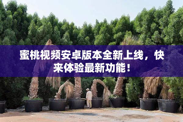 蜜桃视频安卓版本全新上线，快来体验最新功能！