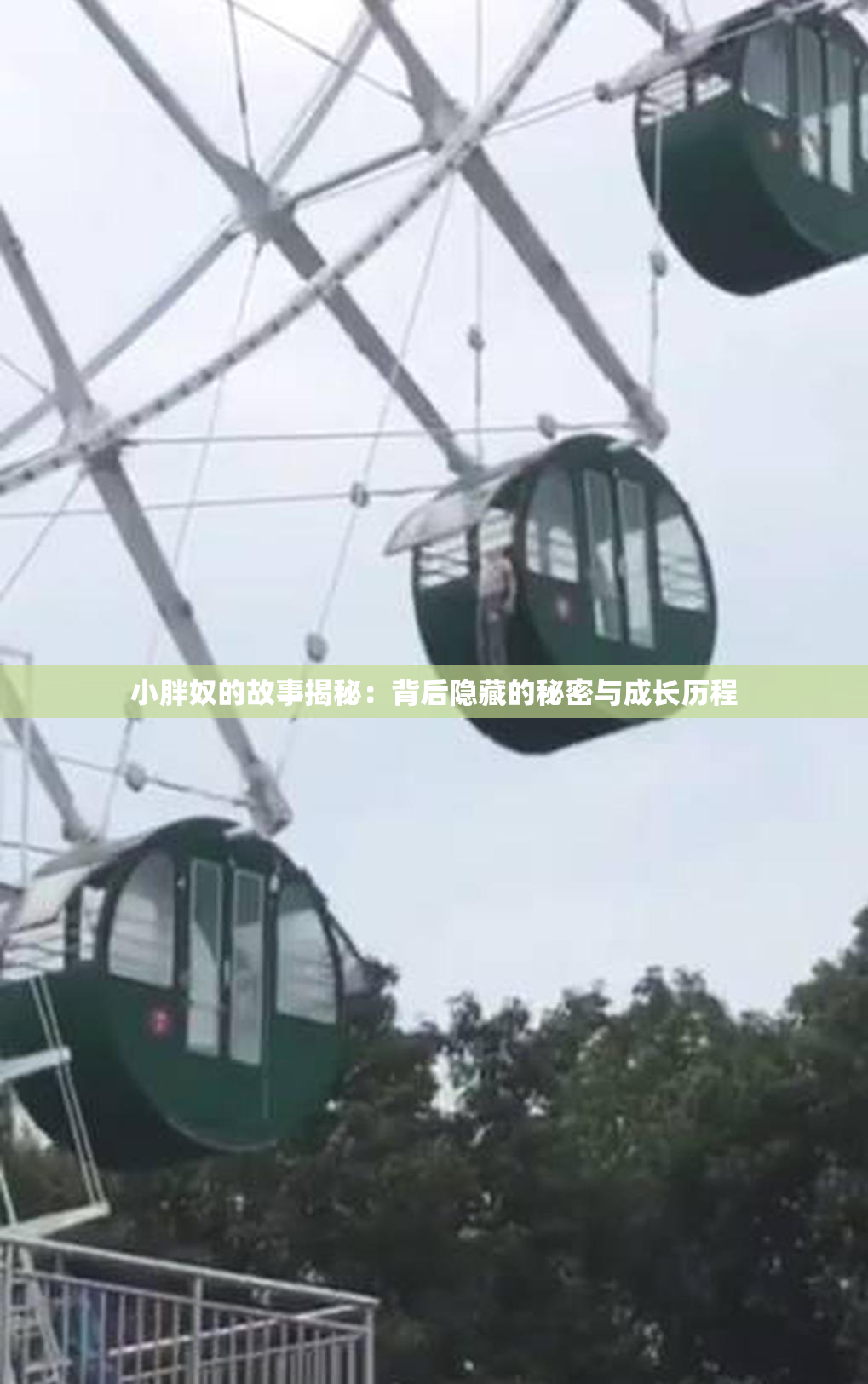 小胖奴的故事揭秘：背后隐藏的秘密与成长历程