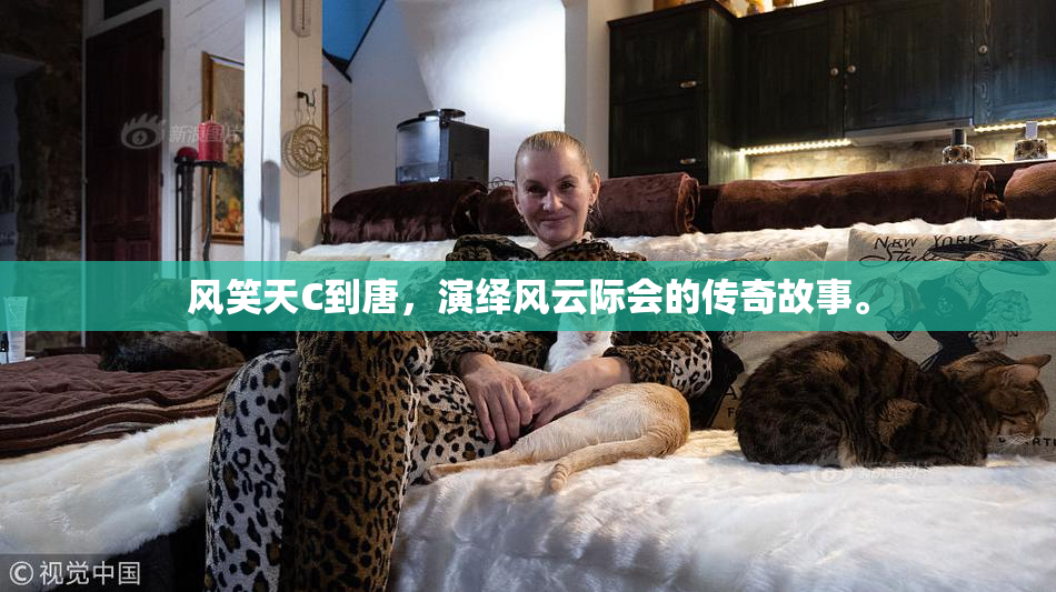 风笑天C到唐，演绎风云际会的传奇故事。