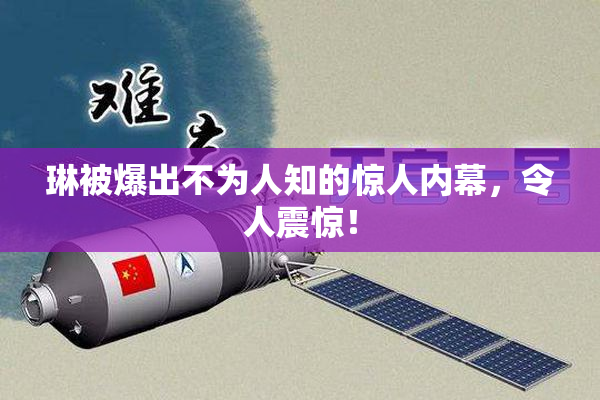 琳被爆出不为人知的惊人内幕，令人震惊！