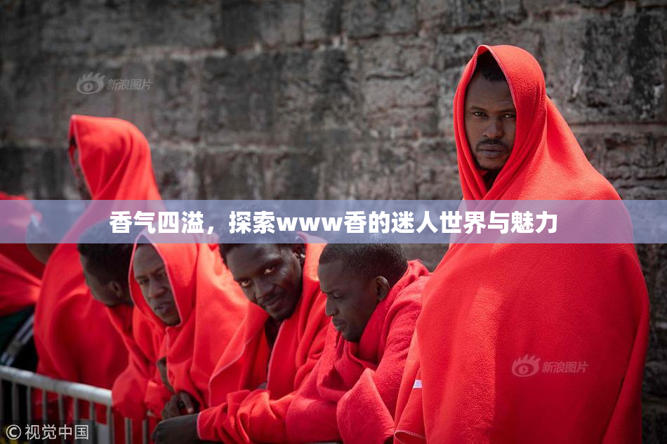 香气四溢，探索www香的迷人世界与魅力
