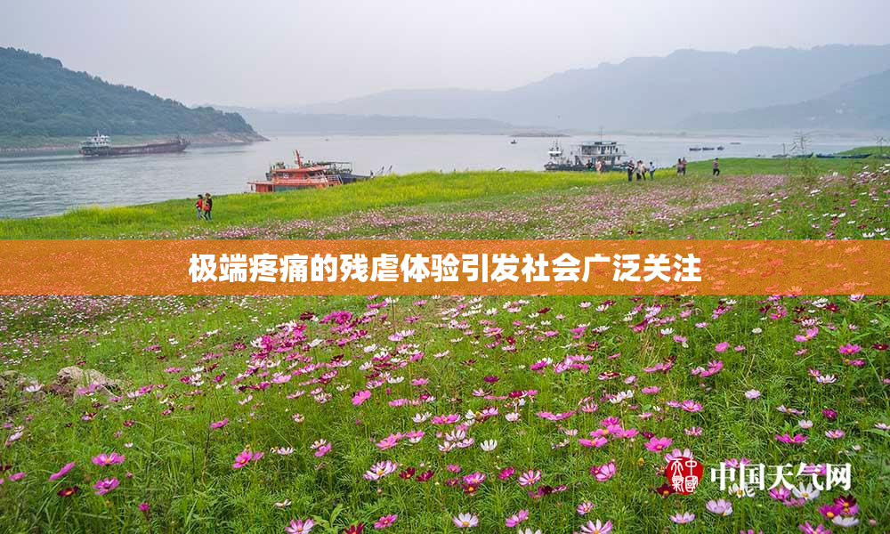 极端疼痛的残虐体验引发社会广泛关注