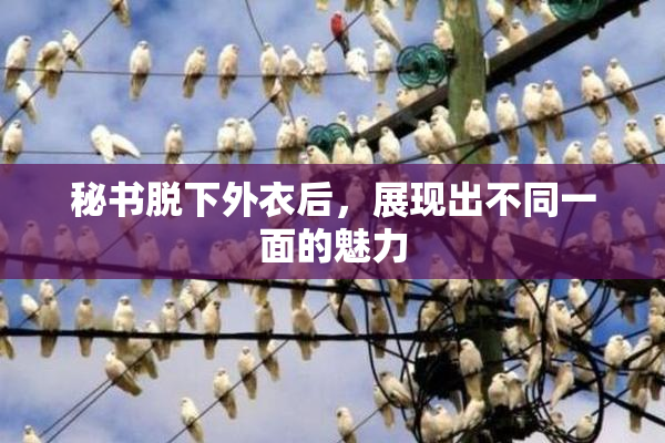 秘书脱下外衣后，展现出不同一面的魅力
