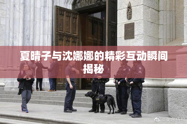 夏晴子与沈娜娜的精彩互动瞬间揭秘