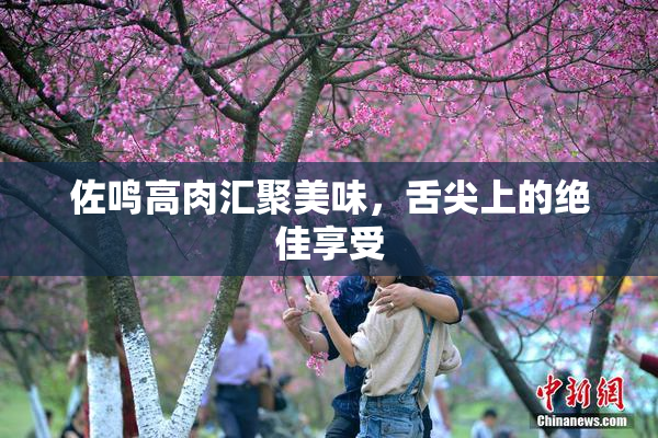 佐鸣高肉汇聚美味，舌尖上的绝佳享受