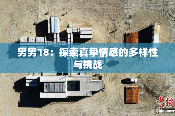 男男18：探索真挚情感的多样性与挑战
