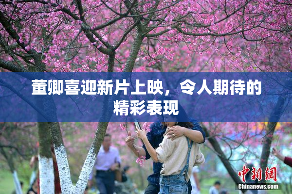 董卿喜迎新片上映，令人期待的精彩表现