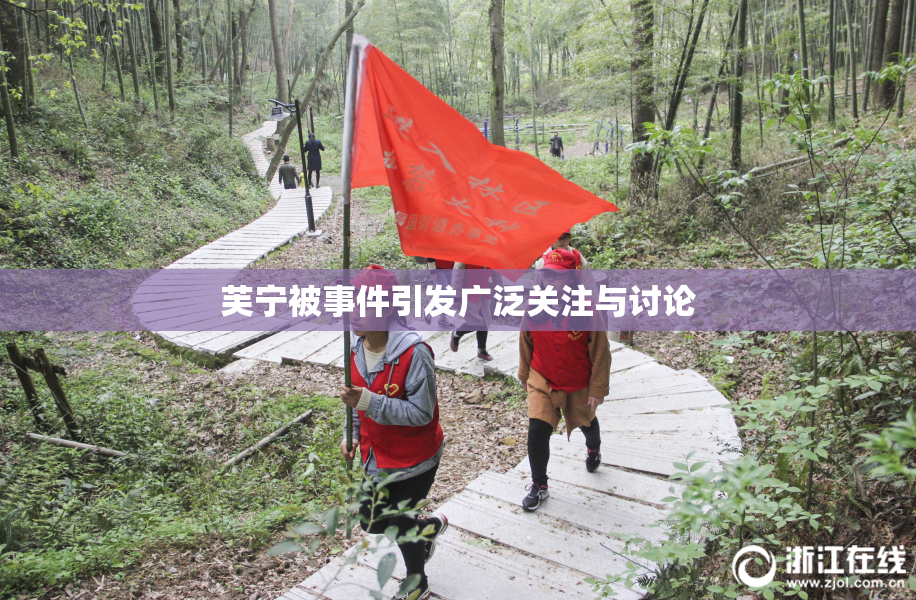 芙宁被事件引发广泛关注与讨论