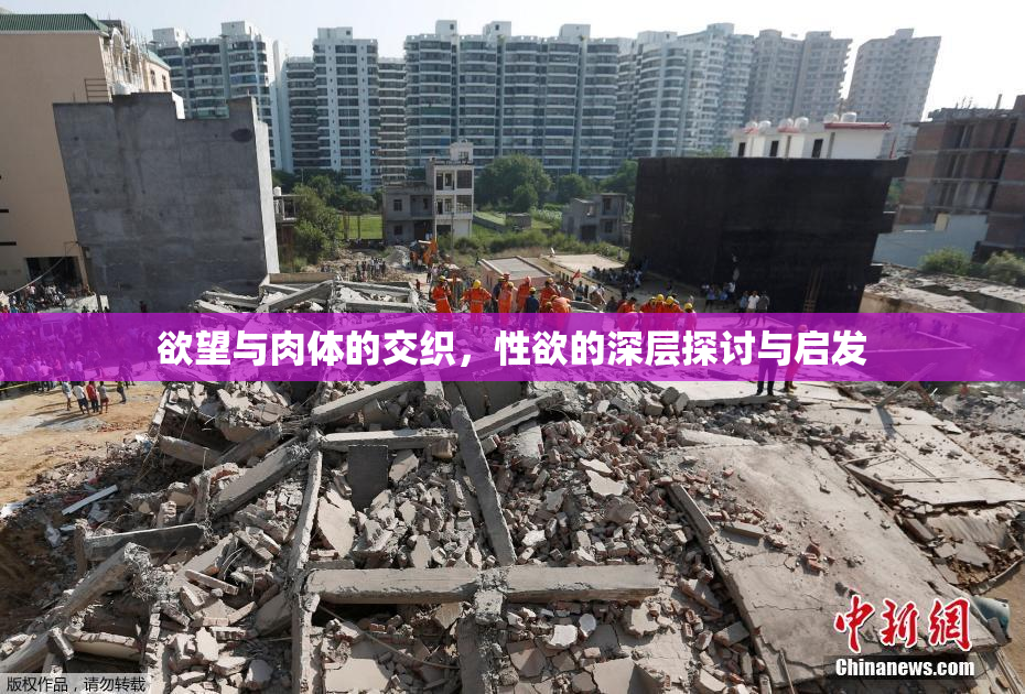 欲望与肉体的交织，性欲的深层探讨与启发