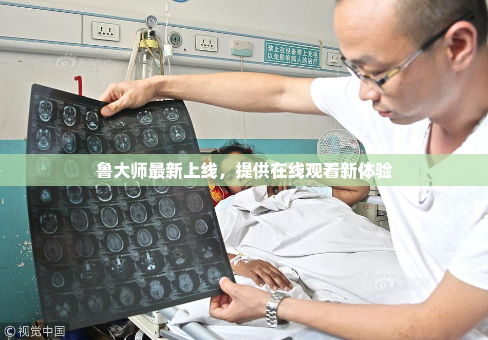 鲁大师最新上线，提供在线观看新体验