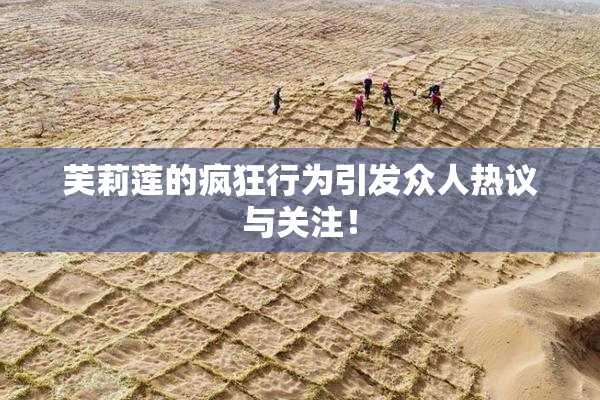芙莉莲的疯狂行为引发众人热议与关注！