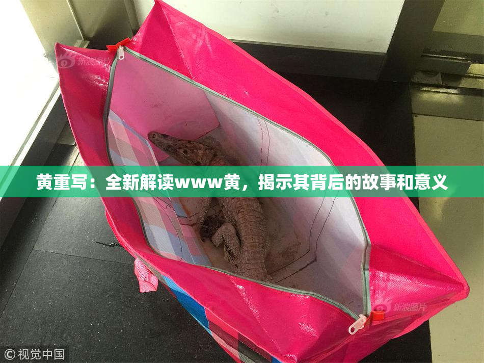 黄重写：全新解读www黄，揭示其背后的故事和意义
