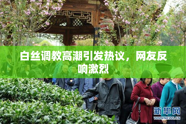 白丝调教高潮引发热议，网友反响激烈