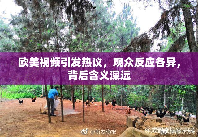 欧美视频引发热议，观众反应各异，背后含义深远