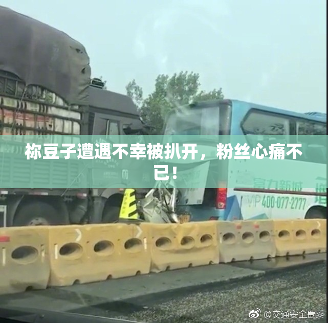 祢豆子遭遇不幸被扒开，粉丝心痛不已！