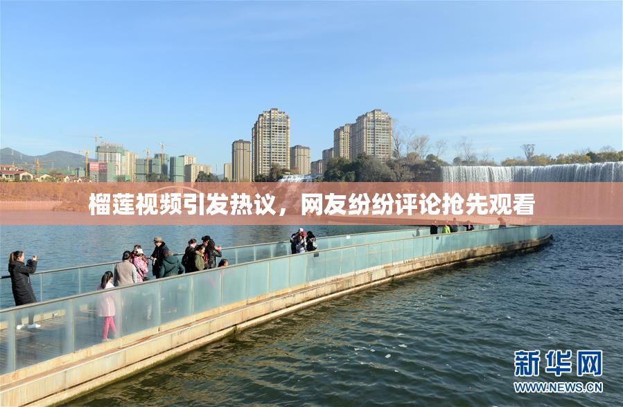 榴莲视频引发热议，网友纷纷评论抢先观看