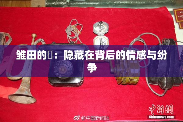 雏田的婬：隐藏在背后的情感与纷争