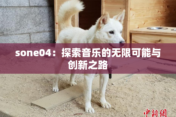 sone04：探索音乐的无限可能与创新之路