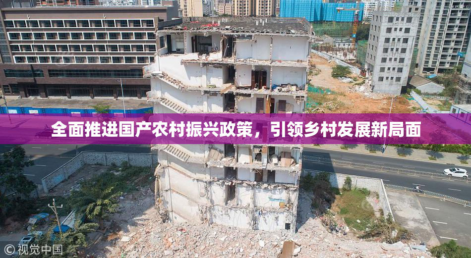 全面推进国产农村振兴政策，引领乡村发展新局面