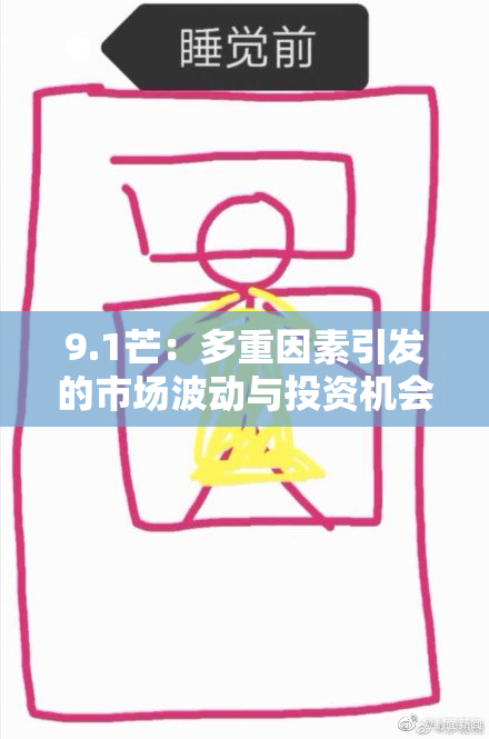 9.1芒：多重因素引发的市场波动与投资机会分析