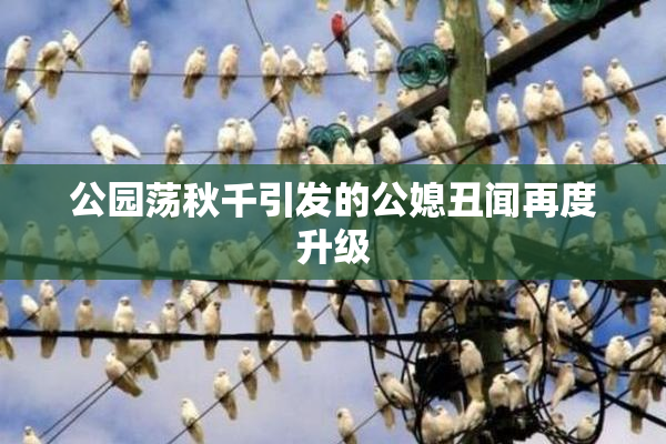 公园荡秋千引发的公媳丑闻再度升级