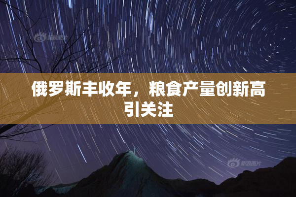 俄罗斯丰收年，粮食产量创新高引关注