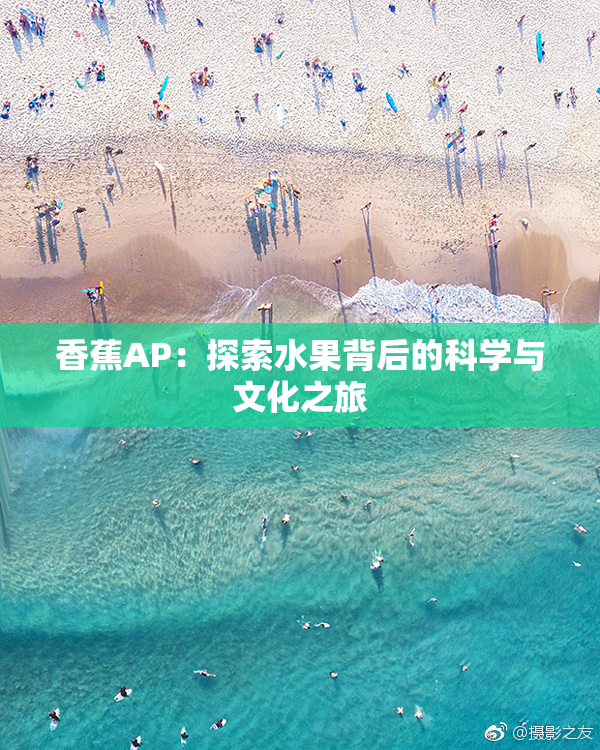 香蕉AP：探索水果背后的科学与文化之旅