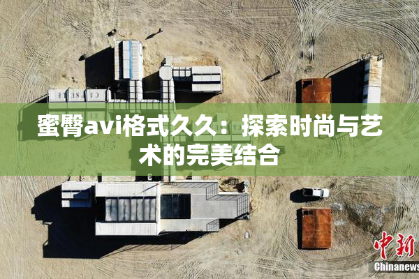 蜜臀avi格式久久：探索时尚与艺术的完美结合