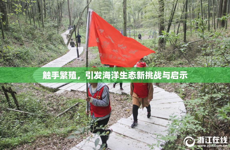 触手繁殖，引发海洋生态新挑战与启示