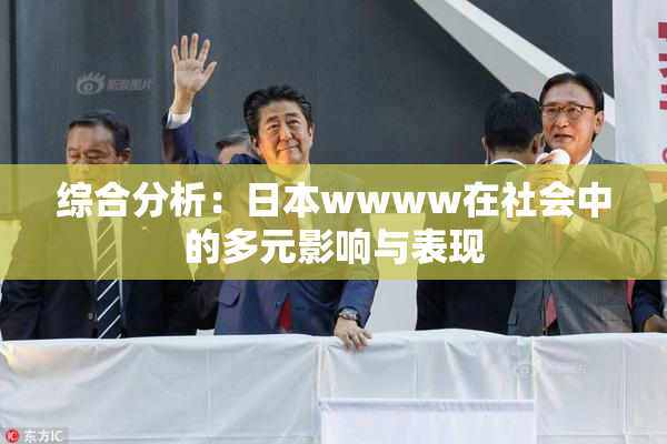 综合分析：日本wwww在社会中的多元影响与表现