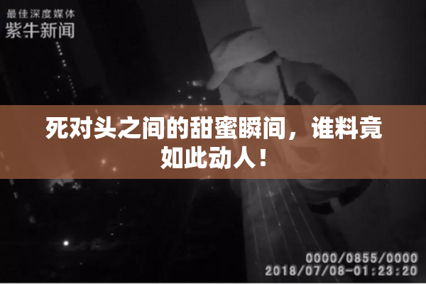 死对头之间的甜蜜瞬间，谁料竟如此动人！