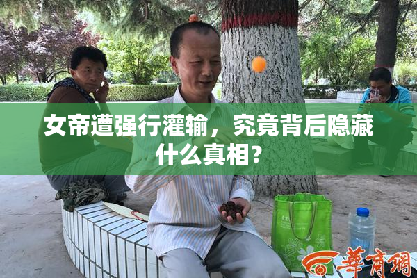 女帝遭强行灌输，究竟背后隐藏什么真相？