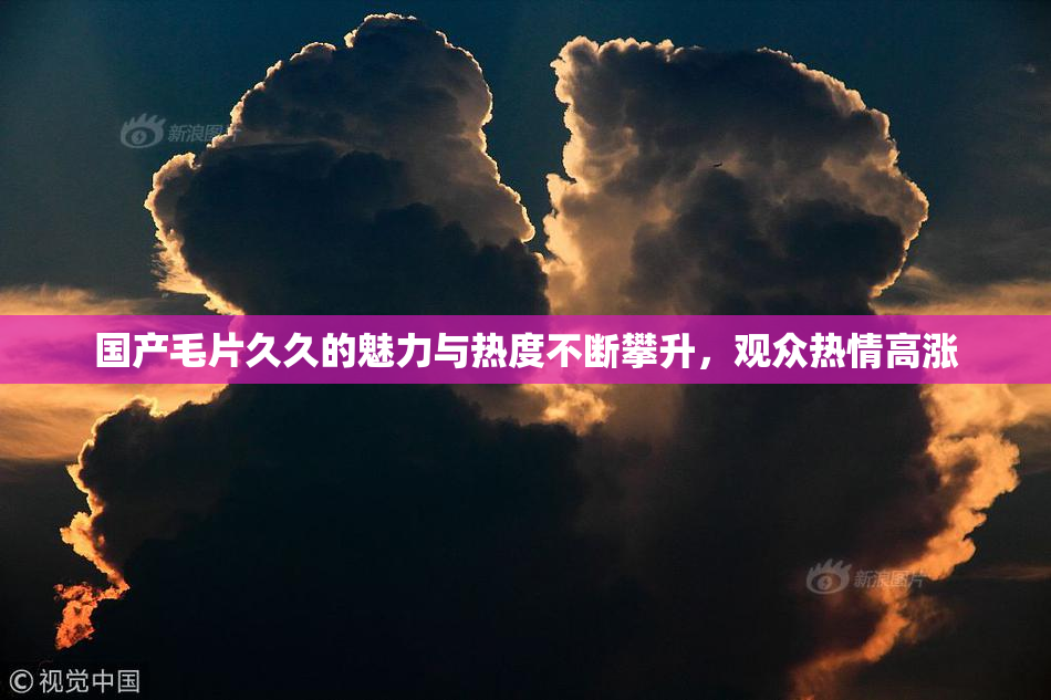国产毛片久久的魅力与热度不断攀升，观众热情高涨