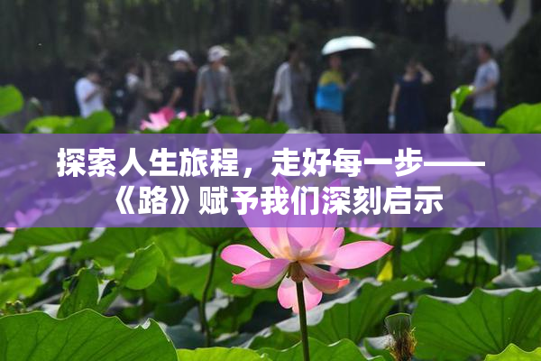 探索人生旅程，走好每一步——《路》赋予我们深刻启示