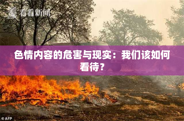 色情内容的危害与现实：我们该如何看待？