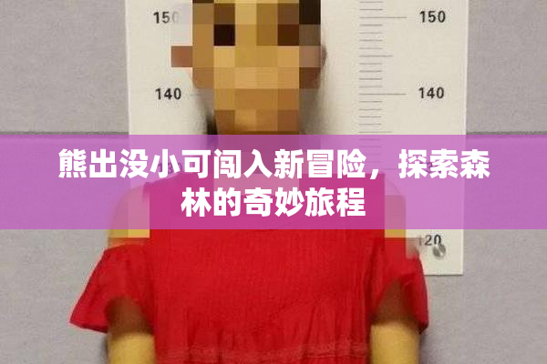 熊出没小可闯入新冒险，探索森林的奇妙旅程