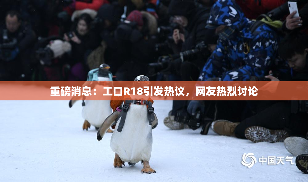重磅消息：工口R18引发热议，网友热烈讨论