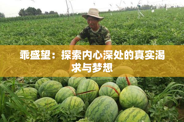 乖盛望：探索内心深处的真实渴求与梦想
