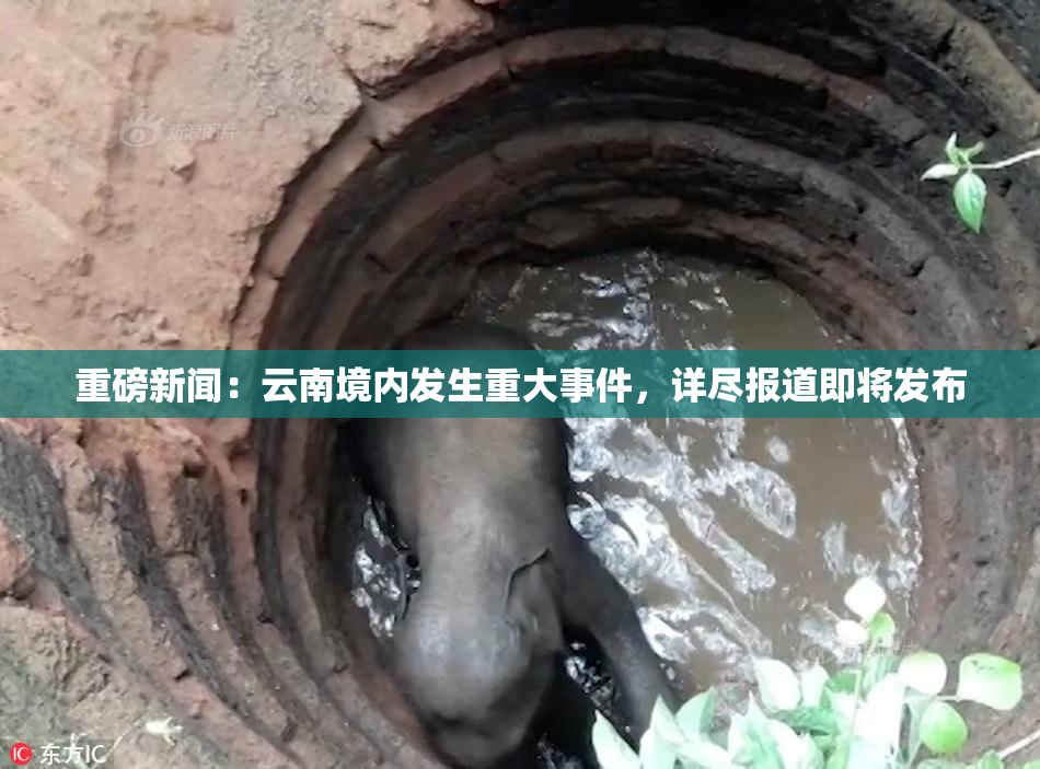 重磅新闻：云南境内发生重大事件，详尽报道即将发布
