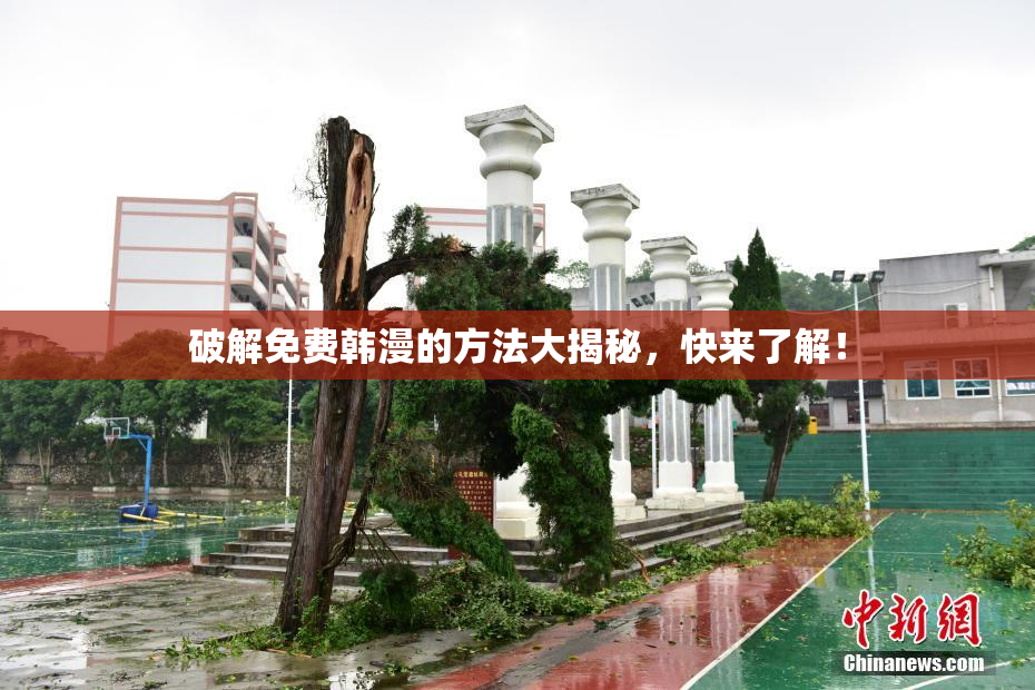 破解免费韩漫的方法大揭秘，快来了解！