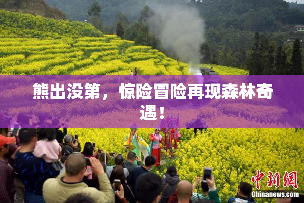 熊出没第，惊险冒险再现森林奇遇！