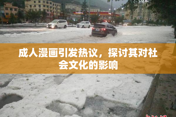 成人漫画引发热议，探讨其对社会文化的影响