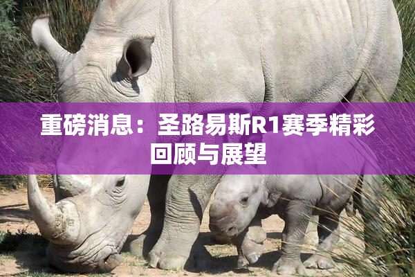 重磅消息：圣路易斯R1赛季精彩回顾与展望