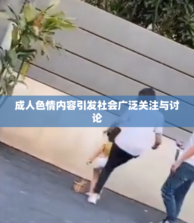 成人色情内容引发社会广泛关注与讨论
