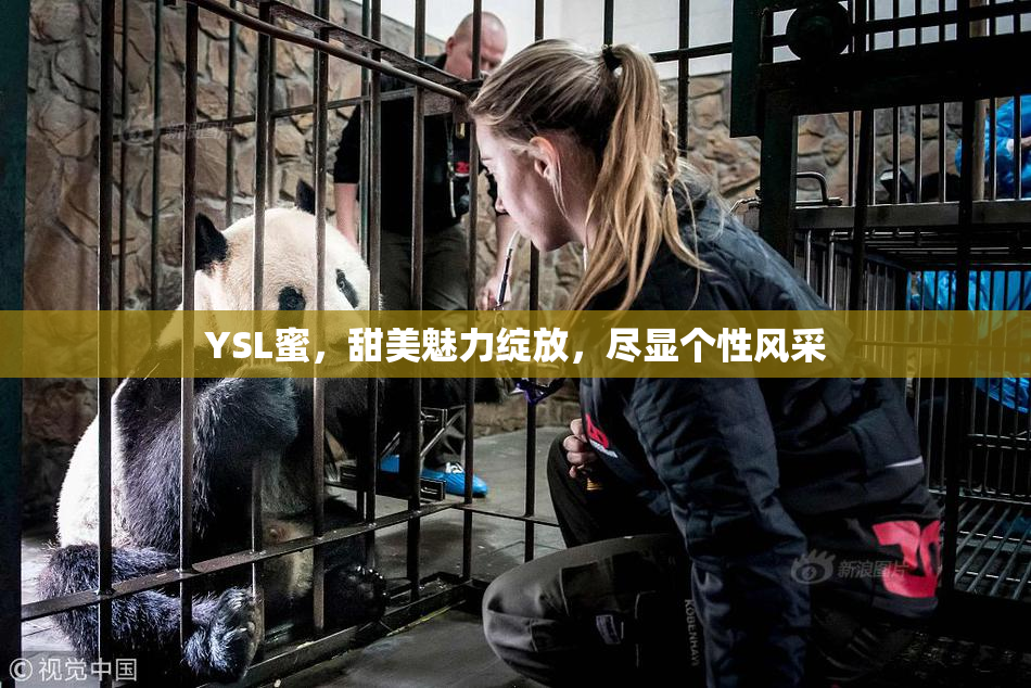 YSL蜜，甜美魅力绽放，尽显个性风采